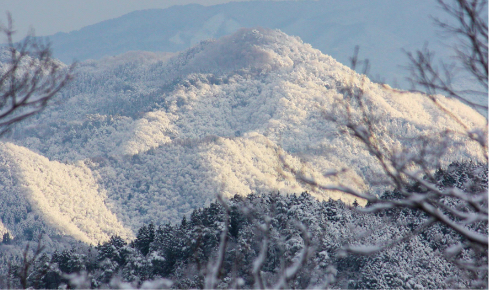 冬は雪景色に