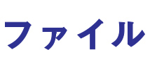 ファイル　オリジナル背ラベル