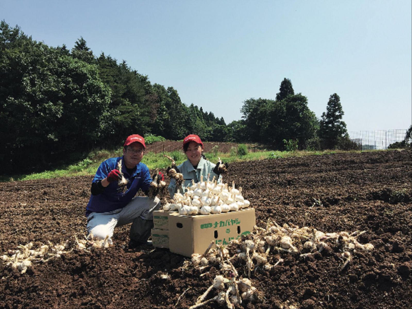 兵庫ナカバヤシ株式会社